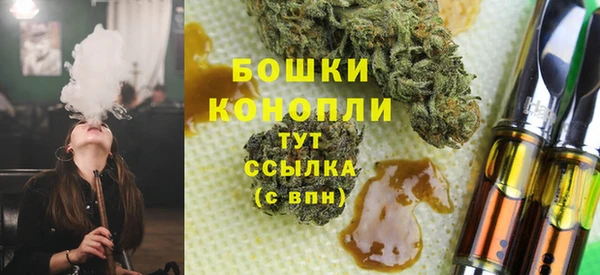 индика Лиски