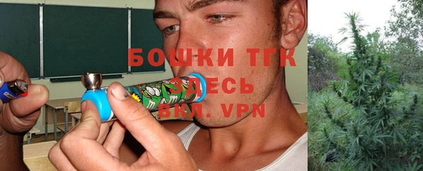 индика Лиски