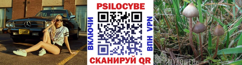 закладки  blacksprut рабочий сайт  Галлюциногенные грибы GOLDEN TEACHER  Можга 