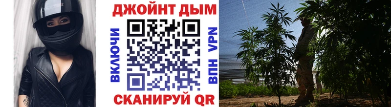 Марихуана Amnesia  магазин  наркотиков  Можга 