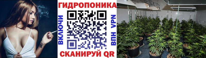 МАРИХУАНА Bruce Banner Можга